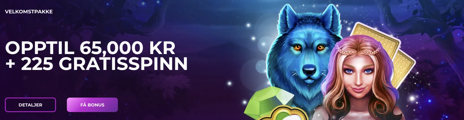 Promotional Banner